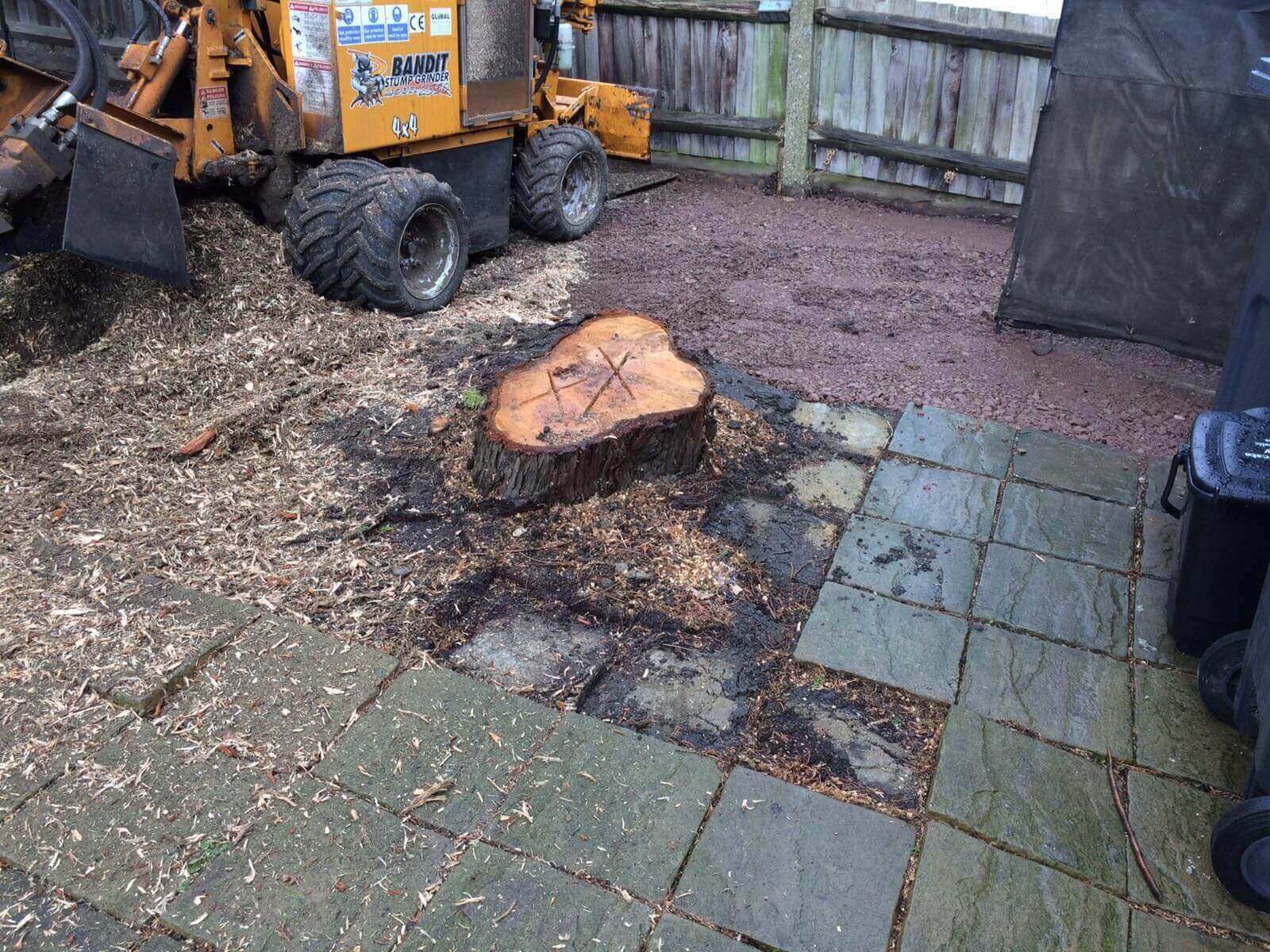 Tree Surgeons Tulse Hill SW2